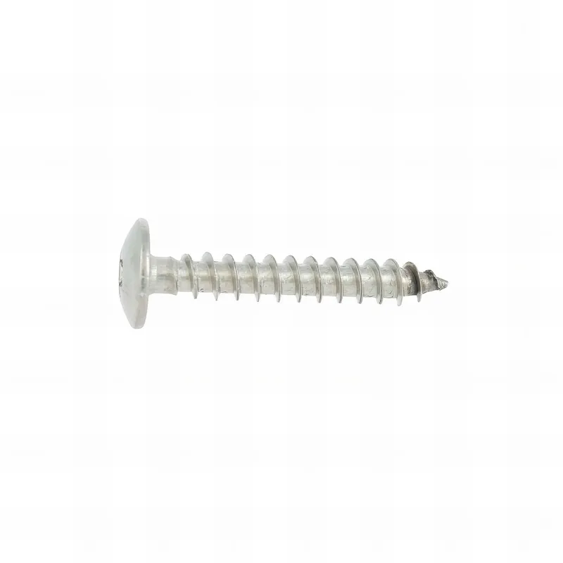 50 Vis Penture Torx Inox A2 - Diamètre 6 mm